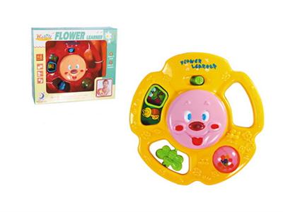 Flowers learning machine