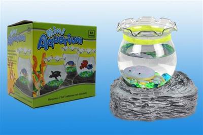 Mini crab aquarium
