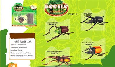 The second generation of insects assembled