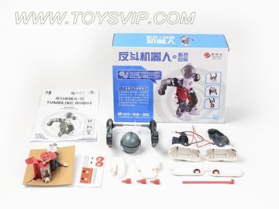 Electric Toy Robot