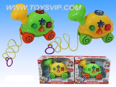 Drag turtle with light and music