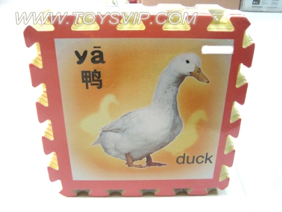 8 animals EVA cushion
