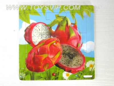 9 patch Pitaya wooden puzzle