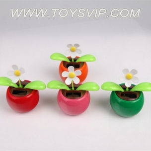Solar Flowers