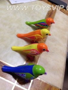 Bird Concert
