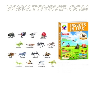 Insects combination puzzle(98PCS)