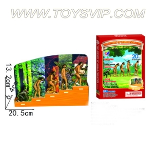 Puzzles of human evolutionary history(20PCS)