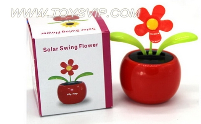 Solar Flowers