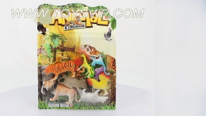 Animal