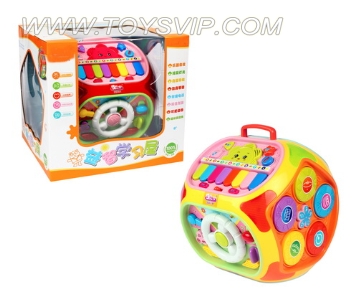 Puzzle Learning House
