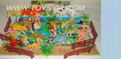 Animal