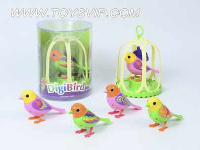 Bird Concert