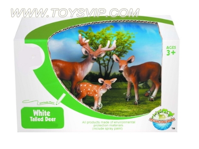 PVC wild white-tailed deer (3)