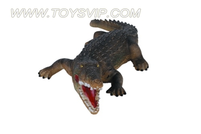 23-inch alligator