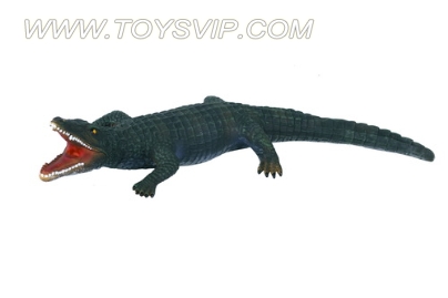 18-inch alligator