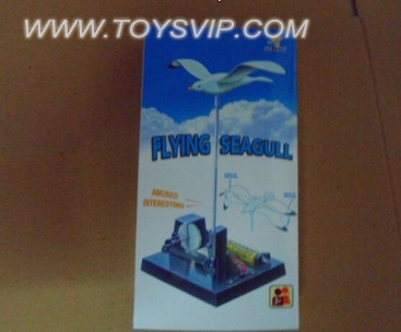 Flying seagull