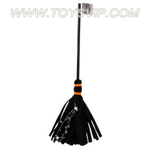 Small broom