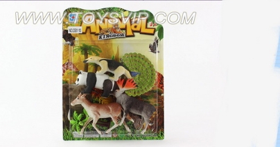 Animal