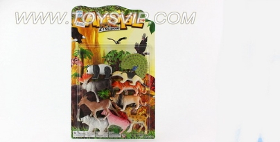 Animal