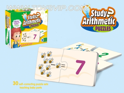 Arithmetic matching puzzle