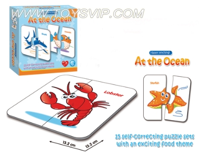 Marine organisms Match Puzzle
