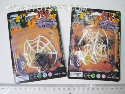 Spider webs and spiders