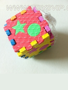 EVA Cube