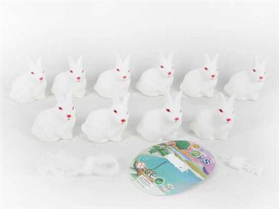 10 rabbits with BB.