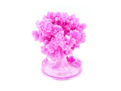 Medium cherry tree (white paper)