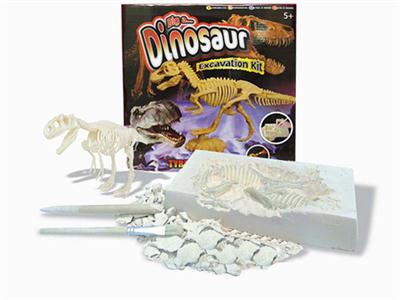 Archaeological dinosaur fossils