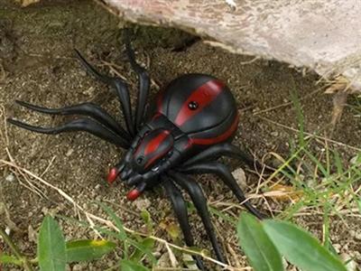 Infrared remote control black widow