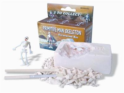 Human skeleton 1pcs