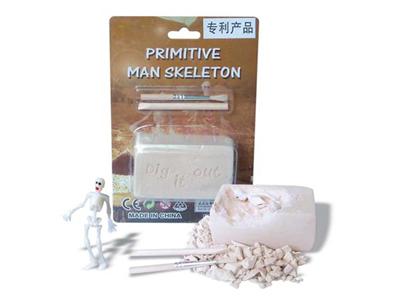 Human skeleton 1pcs