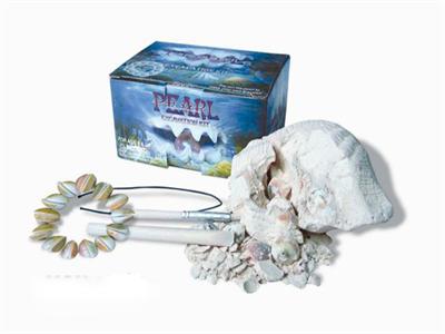 Pearl And Shell