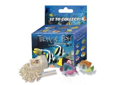 Fish 1pcs