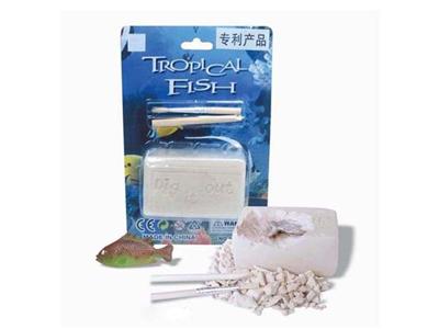 Fish 1pcs