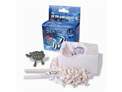 Tortoise 1pcs