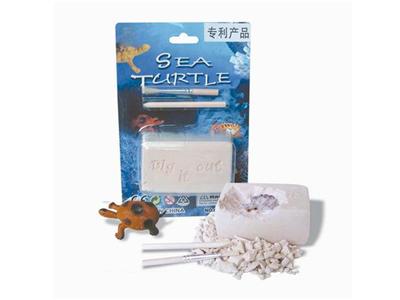 Tortoise 1pcs