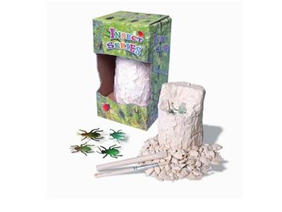 Insect 3pcs