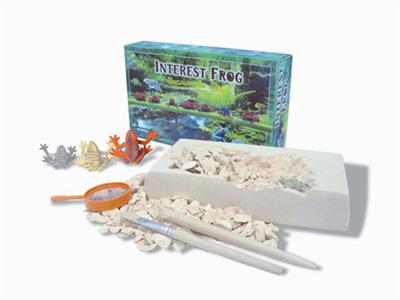 Frog 4pcs (six)