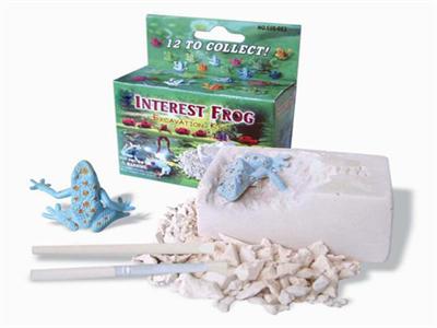 Frog 1pcs