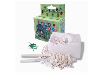 Insect 1PCS