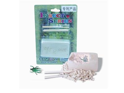 Insect 1PCS