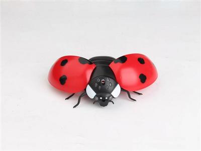 The infrared remote lady beetle.R/C CAR