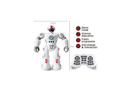 Intelligent robot