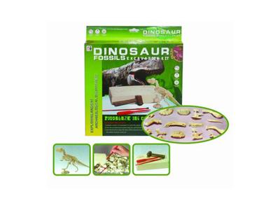 Dinosaur fossils