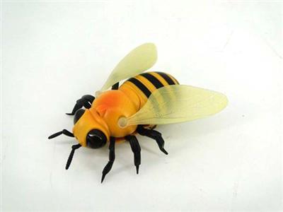 R/C BEE