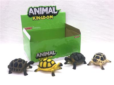 tortoise