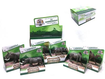 Jungle animals