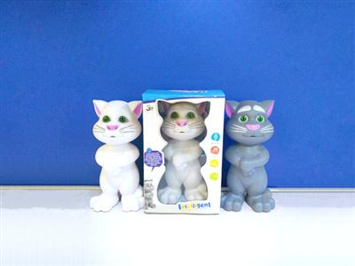 小汤姆猫
